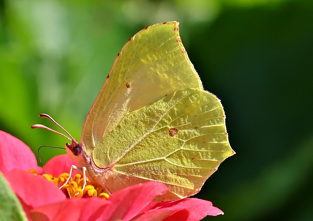 Fliser til små haver – sådan får du mest ud af pladsen